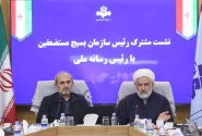 صداوسیما در این جنگ، گل کاشت