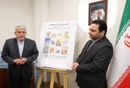 تقدیر وزیر میراث فرهنگی از مدیرعامل بانک ملی برای پاسداشت شهدای میناب