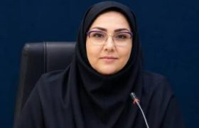 آغاز انتخابات دبیران ملی شبکه‌های تخصصی سمن‌های جوانان