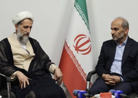 روایتی از «نقشه‌های نقش‌برآب‌شده» دشمن در دی‌ماه